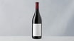 Bourgogne Pinot Noir Raoul Clerget 13% (0,75 l)